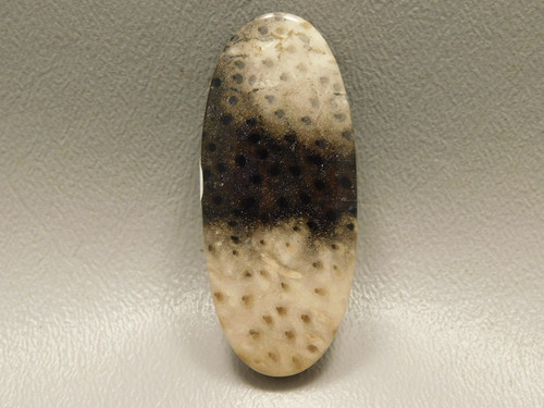 Petrified Palm Wood Stone Bead Pendant #1