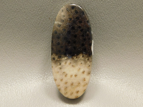 Petrified Palm Wood Stone Bead Pendant #1