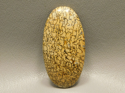 Dinosaur Bone Cabochon #5