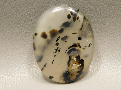 Montana Agate Cabochon #15