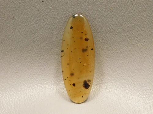 Montana Agate Cabochon #3