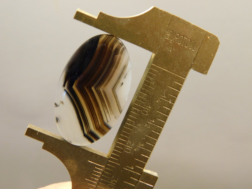 Montana Agate Cabochon #20