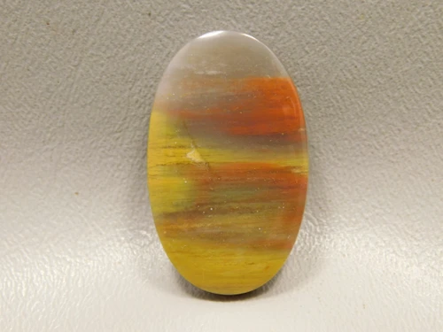 Petrified Rainbow Wood Cabochon Arizona #14