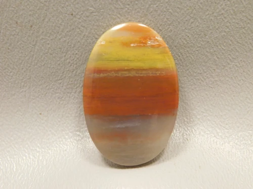 Petrified Rainbow Wood Cabochon Arizona #12
