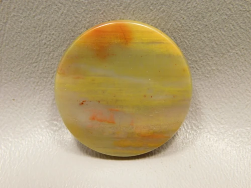 Petrified Rainbow Wood Cabochon Arizona #11