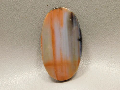 Petrified Rainbow Wood Cabochon Arizona #8