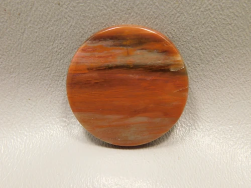 Petrified Rainbow Wood Cabochon Arizona #7