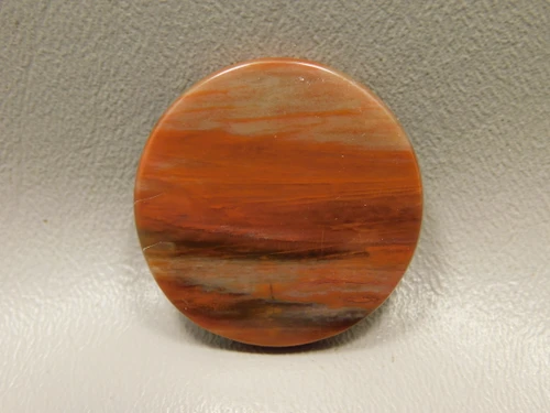 Petrified Rainbow Wood Cabochon Arizona #7