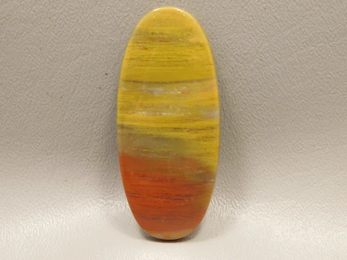 Petrified Rainbow Wood Cabochon Arizona #2