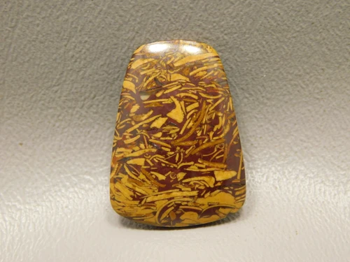 Coquina Jasper Cabochon #21