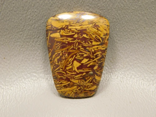 Coquina Jasper Cabochon #21