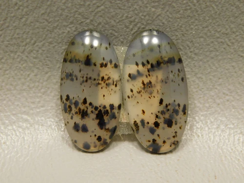 Montana Agate Matched Pair Cabochons #23