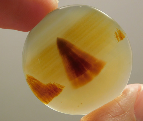 Brazilian Piranha Agate Cabochon 27 mm Round Gemstone #13