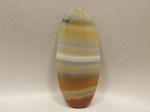 Brazilian Piranha Agate Extra Large Collector Designer Cabochon xl11