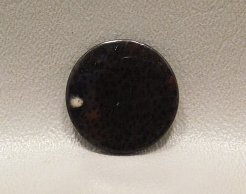 Petrified Palm Wood Brown Black Moonscape Cabochon Gemstone #3