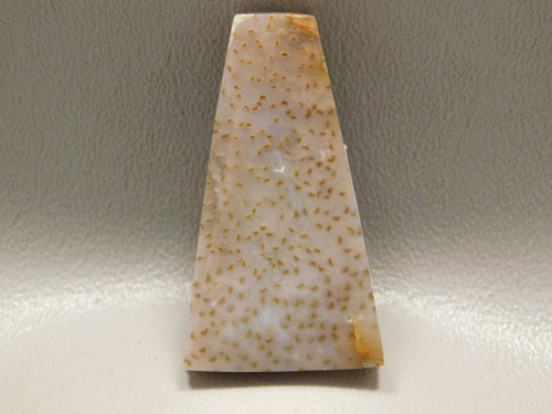 Petrified Palm Wood Stone Bead Pendant #12