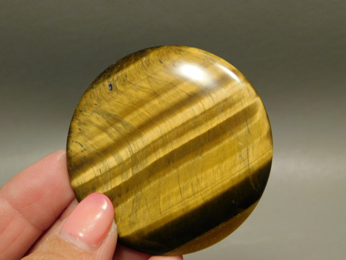 Tiger's Eye Cabochon #8