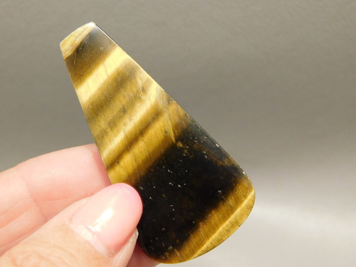 Tiger's Eye Cabochon #9