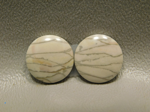 Willow Creek Jasper Matched Pair Cabochon Stone 13 mm Round #7