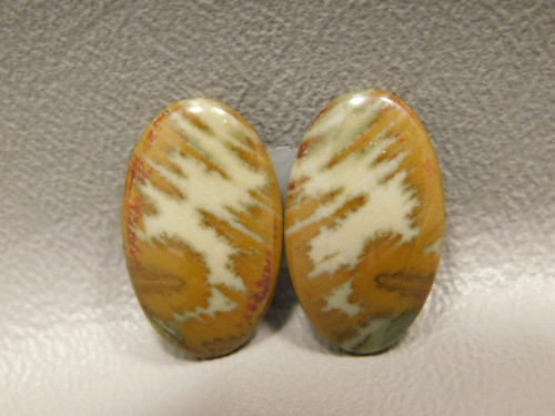 Owyhee Picture Jasper Matched Pair Cabochons #17