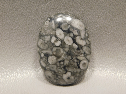 Black and White Crinoid Marble Fossil Designer Cabochon #6