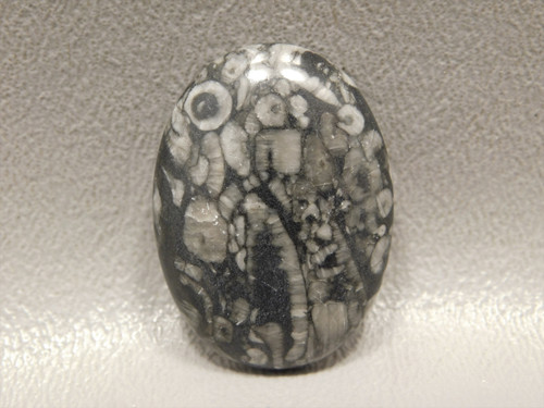 Black and White Crinoid Marble Fossil Designer Cabochon #12