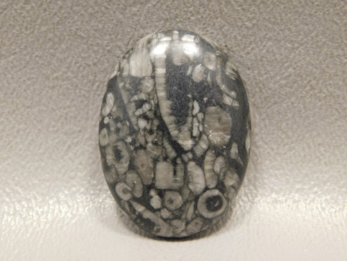 Black and White Crinoid Marble Fossil Designer Cabochon #12