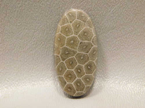 Cabochon Pseudomorph Fossil Coral Jasper #F13