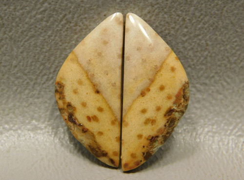 Petrified Palm Wood Fossilized Freeform Matched Pair Cabochons #18