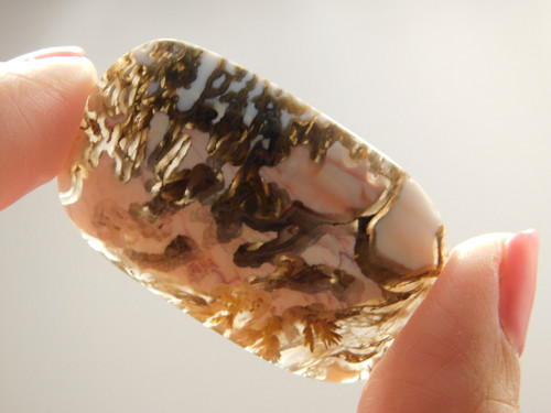 Priday Plume Agate Gemstone Cabochon Oregon #6