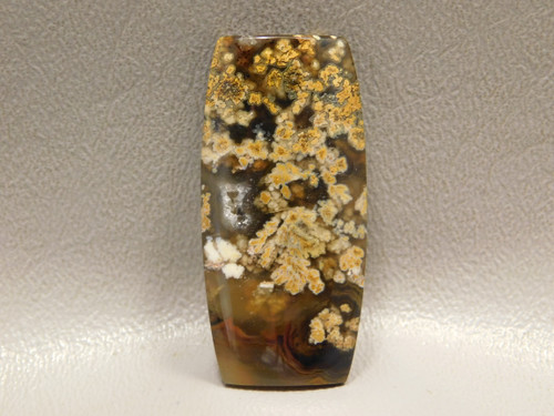 Priday Plume Agate Cabochon Stone Oregon #20