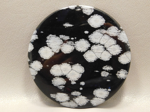 Snowflake Obsidian Large Cabochon Collector 2.75 inch Round #xl1