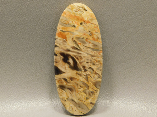 Fossilized Petrified Palm Wood Loose Stone Cabochon Indonesia #6