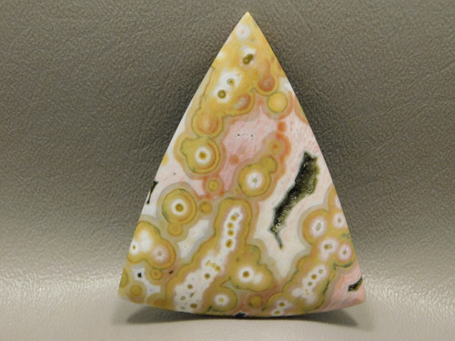 Orbicular Ocean Jasper Large Triangle Collector Cabochon XL2