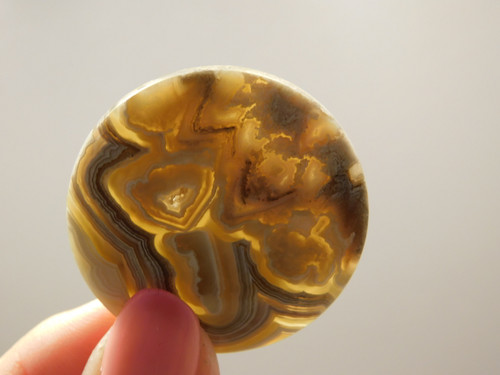 Crazy Lace Agate 34 mm Round Gemstone Cabochon #11