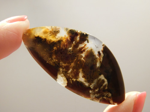 Priday Plume Agate Cabochon Stone Freeform Shaped Oregon #3