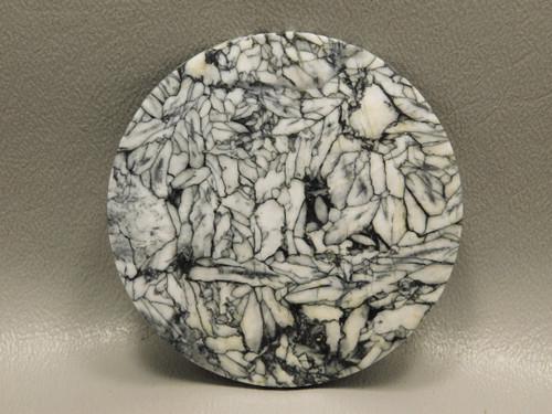 Pinolith or Pinolite Collector Gemstone Large Round Cabochon #xl1