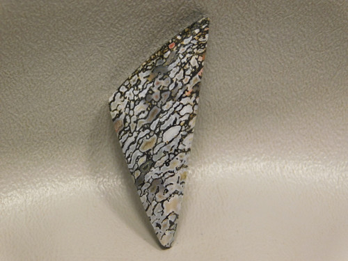 Natural Petrified Dinosaur Bone Cabochon Fossil Triangle Stone #12