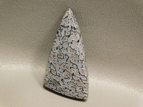 Natural Fossilized Dinosaur Bone Cabochon Gray Triangle Stone #8