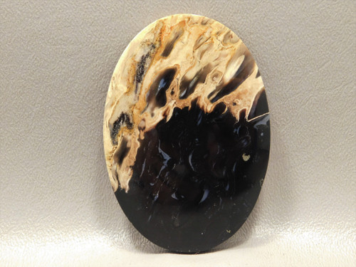 Petrified Palm Wood Large Collector Cabochon Indonesia #xl3