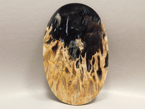 Petrified Palm Wood Large Designer Stone Cabochon Collector #11
