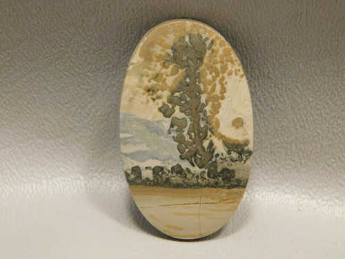 Cotham Marble Fossil Stromatolite Stone Cabochon England #12