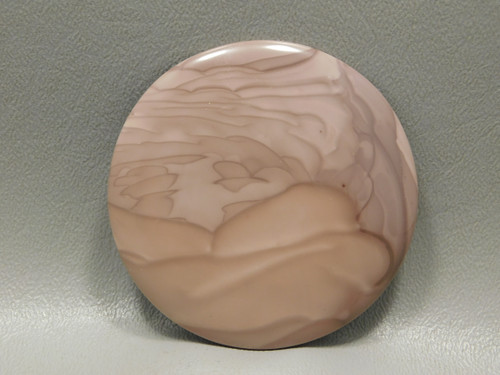Willow Creek Jasper 63 mm 2.5 inch Round Large Collector Cabochon #xl4