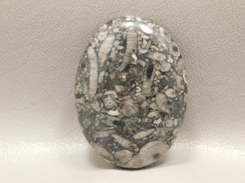 Crinoid Marble Fossilized Loose Stone Cabochon #16