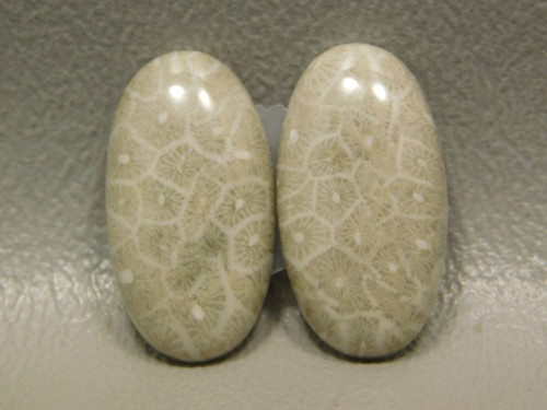 Fossil Coral Jasper Matched Pairs Loose Stones Cabochons #17