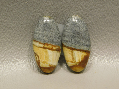 Starry Night Landscape Jasper Pairs Earring Cabochons Stones #20