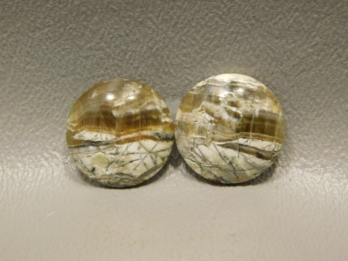 Arizona Pietersite Chatoyant Matched Pair 17 mm Cabochons #6