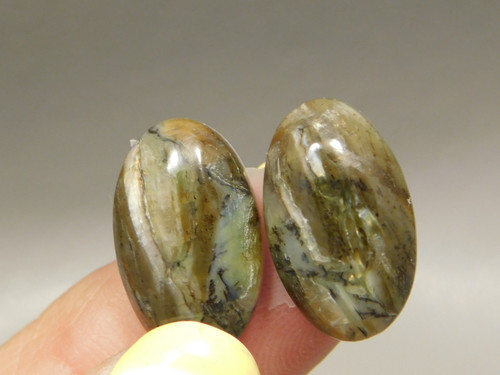 Arizona Pietersite Matched Pair Cabochons #11