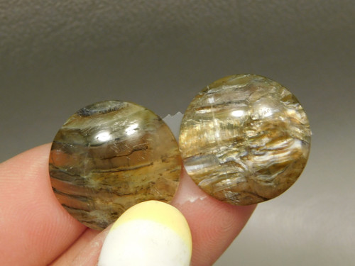 Arizona Pietersite Matched Pair Cabochons #10