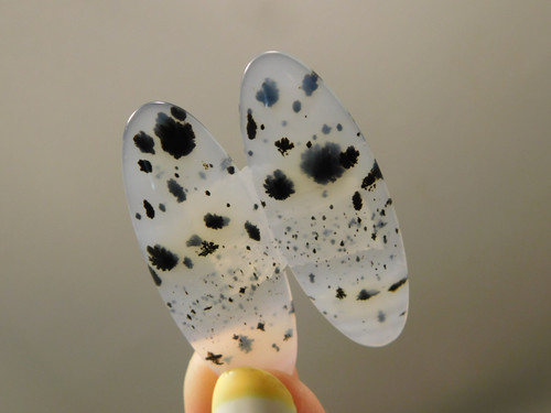 Montana Agate Large Matched Pairs Designer Cabochons Stones #15